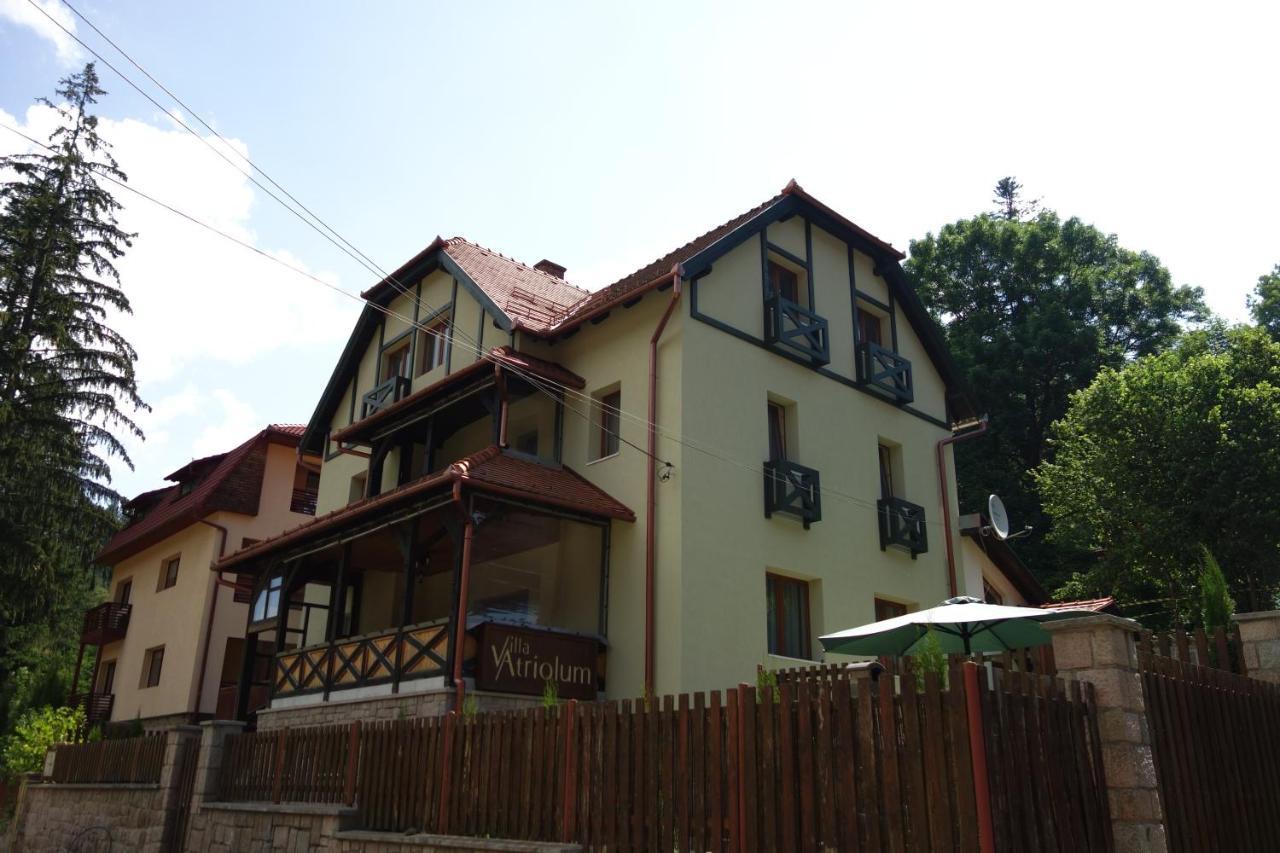 Villa Atriolum BaileTusnad Zimmer foto